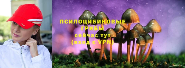 бутират Абаза