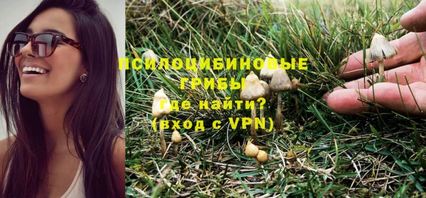 стаф Абдулино