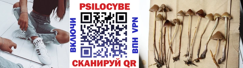 Псилоцибиновые грибы ЛСД  Елизаветинская 